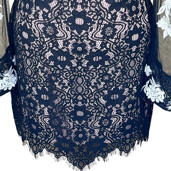 Sugar + Lips Black Sheer Lace Dress with Sheer Cut-Outs & Embroidery XS NWT - Picture 4 of 16